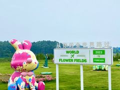 -空港花田景区