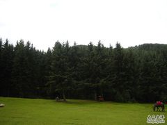 -鹞子沟国家森林公园