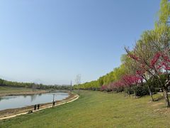 -洨河生态公园