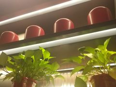 -老板恋上鱼(印象城店)