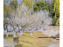 -国际非物质文化遗产博览园