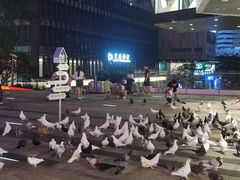 -中航城君尚购物中心