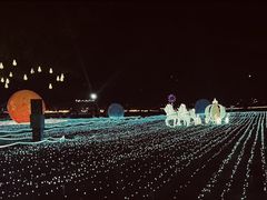 -海上田园
