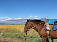 -青海湖国家重点风景名胜区