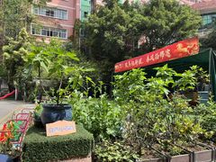 -金豆子幼稚园