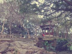 -乌山风景区