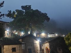 -杨家堂村