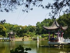 -青龙山国家森林公园