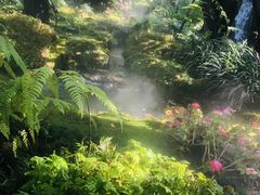 -Chom Cafe and Restaurant