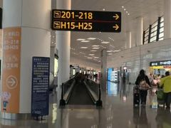 -郑州新郑国际机场-T2航站楼