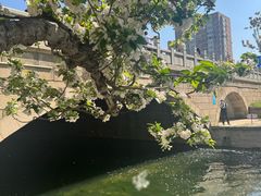 -望湖公园