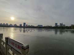 -莲花池公园
