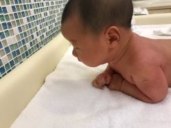 -海豚湾高端月子会所(黄浦店)