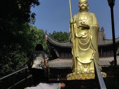 -徽园