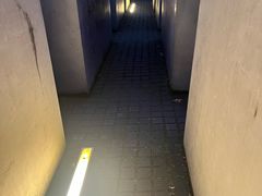 -欧洲被害犹太人纪念碑