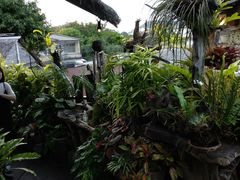 -自然餐厅(Phuket)