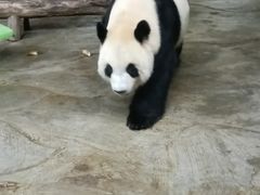 -海南热带野生动植物园