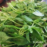 涮羊肉～DIY