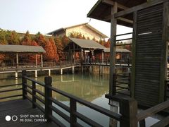 -溱湖国家湿地公园