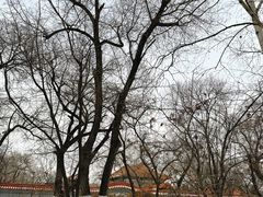-大乘寺