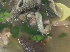 -春雨羊汤店(广开四马路总店)