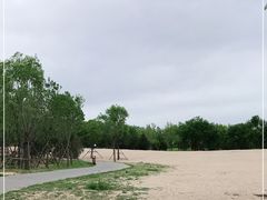 -东郊湿地公园