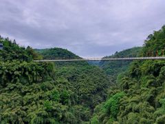 -川西竹海景区