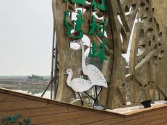 -北海金海湾红树林生态旅游区