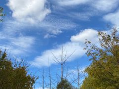 -唐山抗震纪念碑广场