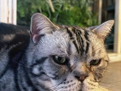 -小时光咖啡馆(北锣鼓巷店)