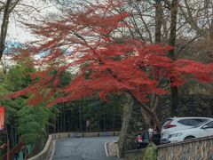 -莫干山风景区