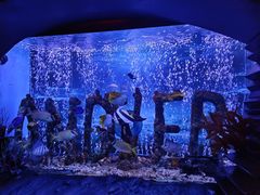 -太平洋海底世界