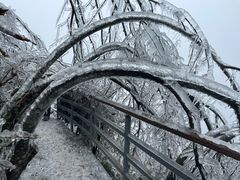 -金子山原生态旅游风景区