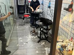 -PETKIT小佩宠物(古北店)