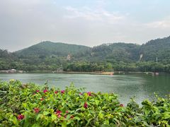 -水濂山森林公园