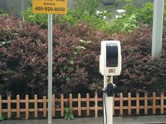 -四海游龙(大华店)