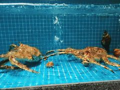 -狮伙海鲜捞(千灯湖店)