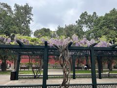 -北京市劳动人民文化宫(太庙)