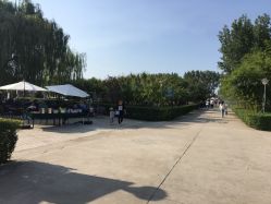 -上美四季动物农场