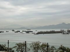 -希尔顿南海酒店·观廊大堂吧·海景下午茶
