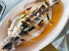 清蒸白水鱼-洞天食府(北大街店)