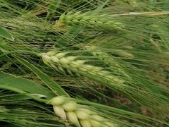 -房山世界地质公园博物馆