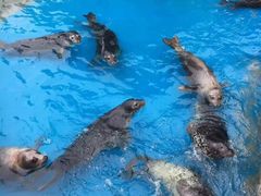 -华夏文旅西安度假区