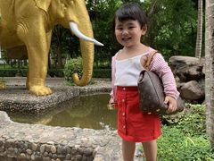 -西双版纳原始森林公园