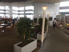 -东京都厅舍
