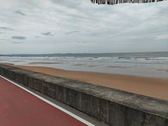 -日照海滨国家森林公园
