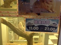 -龙猫仔乐园(惠福东路店)