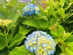 -横滨红砖仓库1号馆