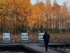 -长广溪湿地公园