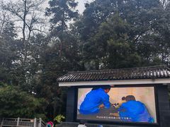 -中国大熊猫保护研究中心雅安碧峰峡基地